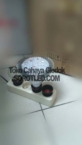 Lampu LED PAR38 12watt warm white